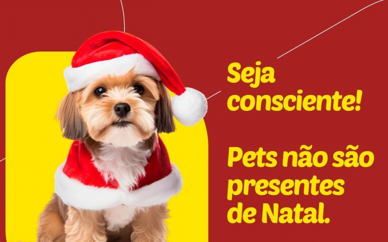 Adoção consciente: Prefeitura alerta que pets não devem ser considerados presentes de Natal