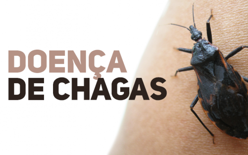 Equipe de Vigilância em Saúde realiza campanha de combate à Doença de Chagas