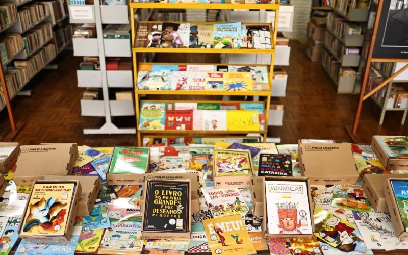 Biblioteca Municipal recebe mais de 600 livros infantis por meio do PNLD+